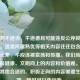 涉及到不适当、不道德且可能违反公序良俗的信息。这类所谓熟优等相关内容往往包含色情低俗元素，不应该被宣扬和传播。我们应当倡导积极健康、文明向上的内容和价值观。如果你有其他合适的、积极正向的内容需要生成标题，随时可以告诉我。