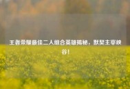 王者荣耀更佳二人组合英雄揭秘，默契主宰峡谷！