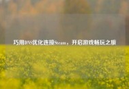巧用DNS优化连接Steam，开启游戏畅玩之旅