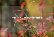 探秘Tubi17，未知领域的新探索