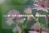 Excel 表 1 与表 2 数据匹配全攻略，找出相同内容