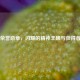 国家荣誉勋章，闪耀的精神丰碑与获得者风采