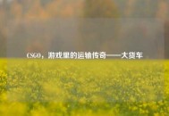 CSGO，游戏里的运输传奇——大货车