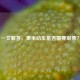 一文解答，乘坐动车是否需要取票？