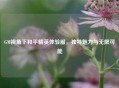 GM视角下和平精英体验服，独特魅力与无限可能