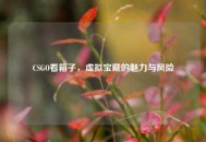 CSGO看箱子，虚拟宝藏的魅力与风险