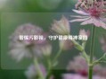 警惕污影视，守护健康精神家园