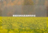 眼睛哭肿快速消肿的妙招