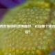 揭开西双版纳的地理面纱，它在哪个城市哪个省？