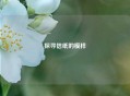 探寻信纸的模样