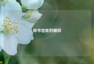 探寻信纸的模样