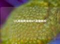 LOL高端局常用DPS英雄解析