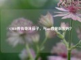CSGO界传奇沫茄子，与mo曾是队友吗？