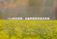 CSGO回合教程，全面掌握游戏回合机制