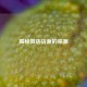 揭秘 *** 货源的来源