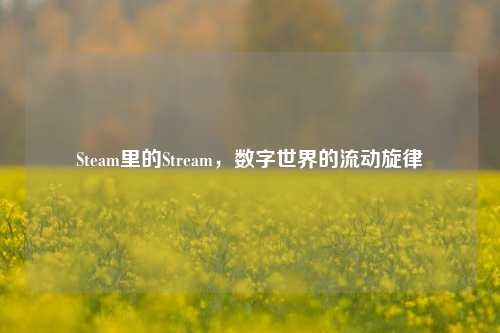Steam里的Stream，数字世界的流动旋律