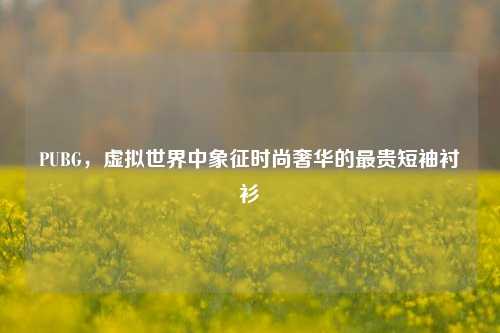 PUBG,虚拟世界中象征时尚奢华的最贵短袖衬衫