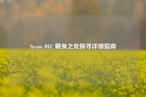 Steam DLC 藏身之处探寻详细指南