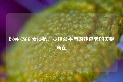 探寻 CSGO 素质枪,竞技公平与游戏体验的关键所在
