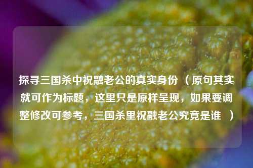 探寻三国杀中祝融老公的真实身份 （原句其实就可作为标题，这里只是原样呈现，如果要调整修改可参考，三国杀里祝融老公究竟是谁  ）