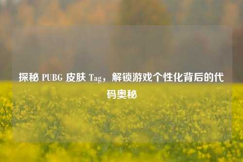 探秘 PUBG 皮肤 Tag，解锁游戏个性化背后的代码奥秘
