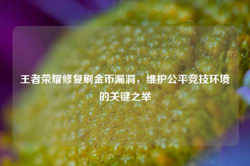 王者荣耀修复刷金币漏洞，维护公平竞技环境的关键之举
