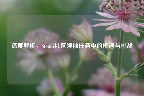 深度解析，Steam社区领袖任务中的机遇与挑战