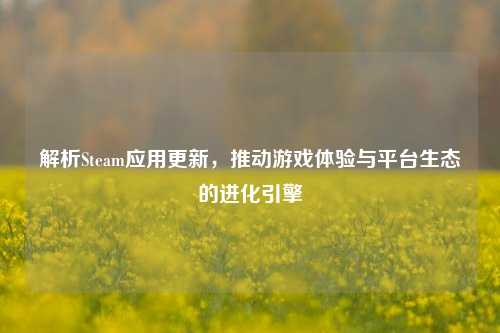 解析Steam应用更新，推动游戏体验与平台生态的进化引擎