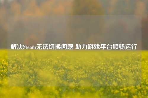 解决Steam无法切换问题 助力游戏平台顺畅运行