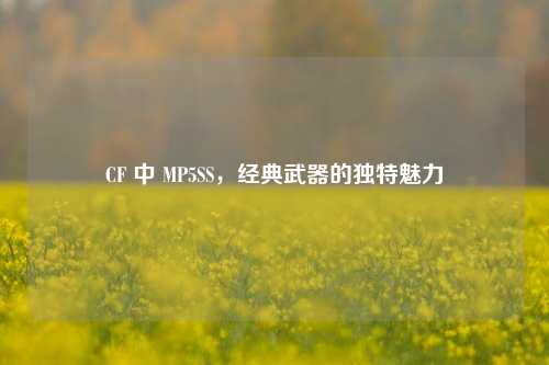 CF 中 MP5SS，经典武器的独特魅力