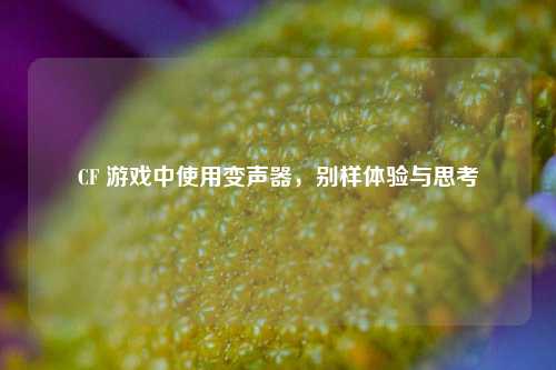 CF 游戏中使用变声器,别样体验与思考