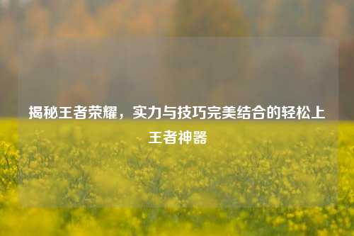 揭秘王者荣耀,实力与技巧完美结合的轻松上王者神器