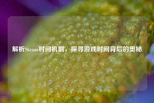 解析Steam时间机制,探寻游戏时间背后的奥秘