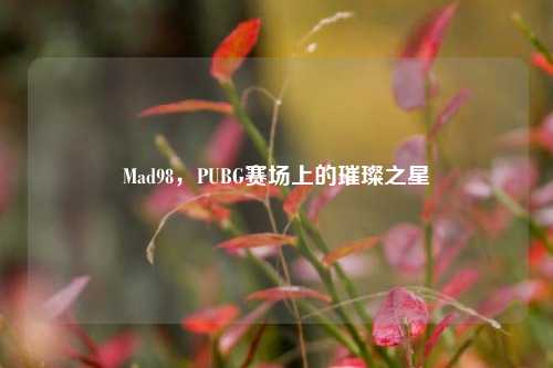Mad98，PUBG赛场上的璀璨之星