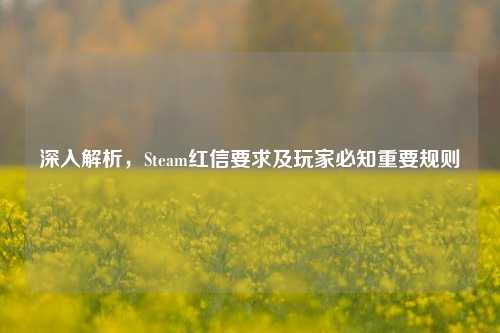 深入解析，Steam红信要求及玩家必知重要规则