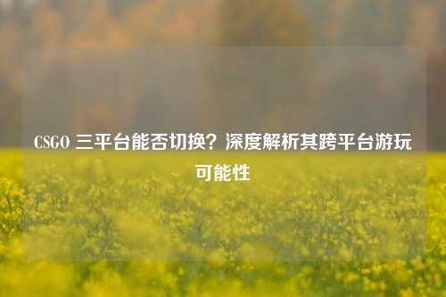 CSGO 三平台能否切换？深度解析其跨平台游玩可能性