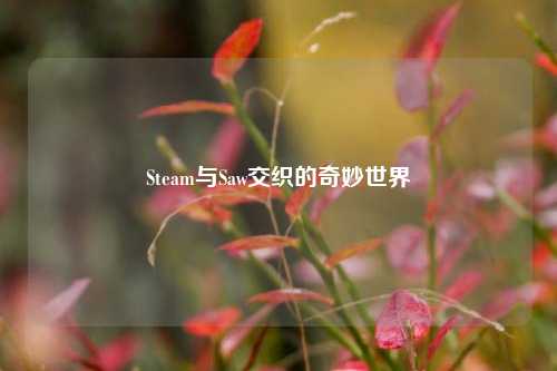 Steam与Saw交织的奇妙世界