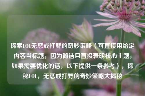 探索LOL无惩戒打野的奇妙策略（可直接用给定内容当标题，因为简洁且直接表明核心主题，如果需要优化的话，以下提供一条参考），探秘LOL，无惩戒打野的奇妙策略大揭秘