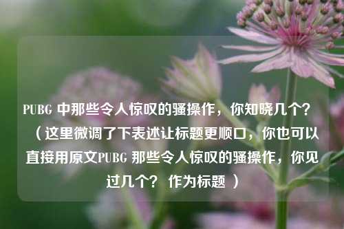 PUBG 中那些令人惊叹的骚操作,你知晓几个? (这里微调了下表述让标题更顺口,你也可以直接用原文PUBG 那些令人惊叹的骚操作,你见过几个? 作为标题 )
