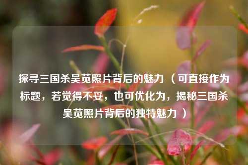 探寻三国杀吴苋照片背后的魅力 （可直接作为标题，若觉得不妥，也可优化为，揭秘三国杀吴苋照片背后的独特魅力 ）