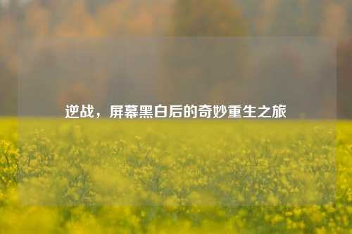 逆战，屏幕黑白后的奇妙重生之旅