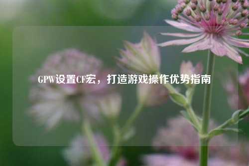 GPW设置CF宏,打造游戏操作优势指南