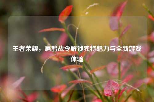 王者荣耀，扁鹊战令解锁独特魅力与全新游戏体验