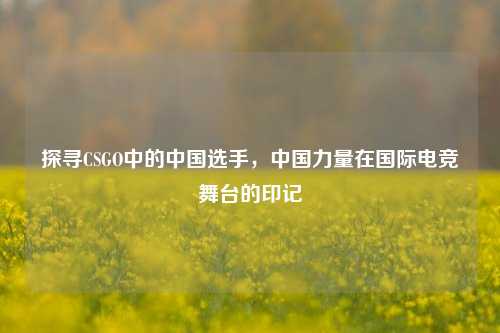 探寻CSGO中的中国选手，中国力量在国际电竞舞台的印记