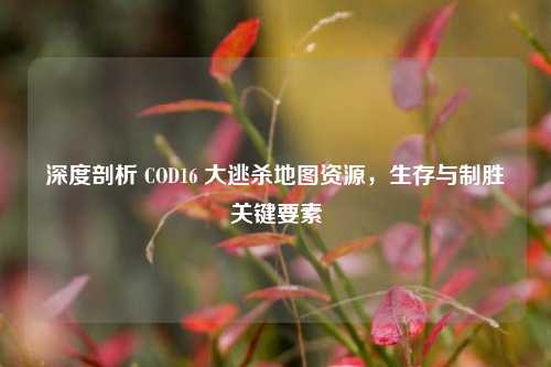 深度剖析 COD16 大逃杀地图资源，生存与制胜关键要素