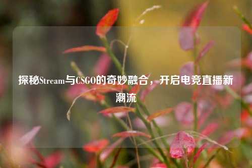 探秘Stream与CSGO的奇妙融合，开启电竞直播新潮流