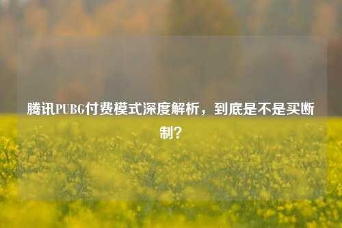 腾讯PUBG付费模式深度解析，到底是不是买断制？