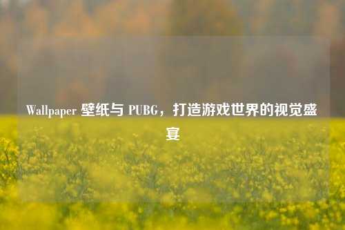Wallpaper 壁纸与 PUBG，打造游戏世界的视觉盛宴