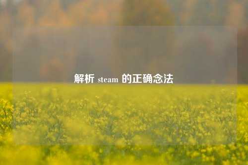 解析 steam 的正确念法