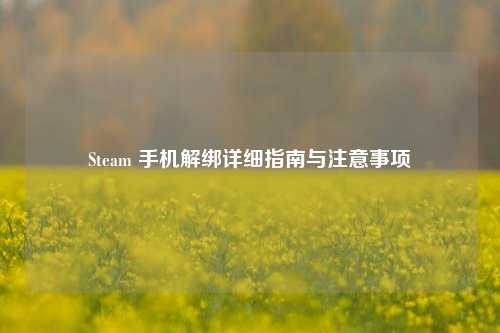 Steam 手机解绑详细指南与注意事项